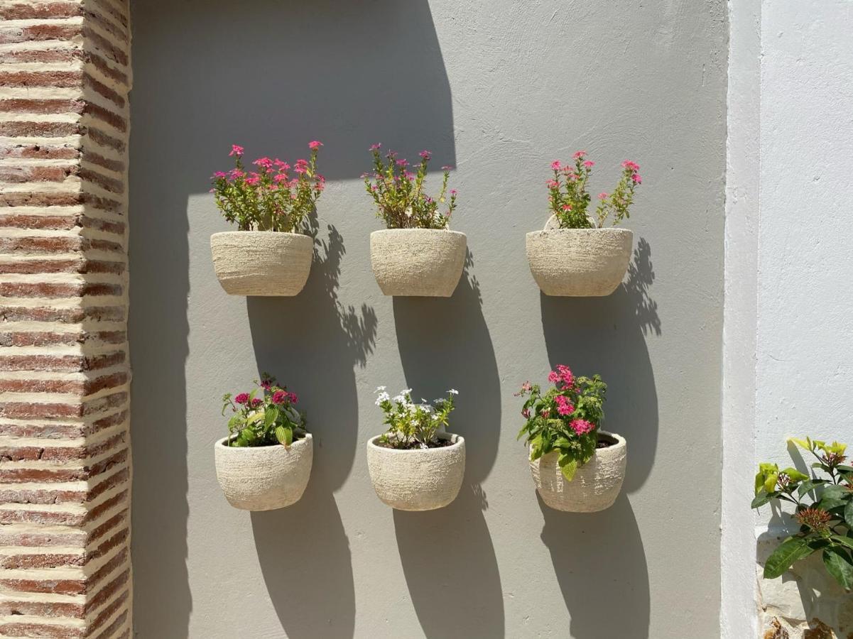 Casa Bixa Hotel Boutique - Mayores De 12 Anos - (Adults Only) 圣菲德安蒂奥基亚 外观 照片
