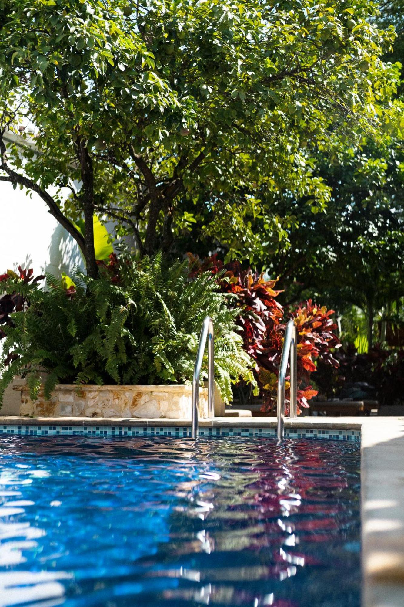 Casa Bixa Hotel Boutique - Mayores De 12 Anos - (Adults Only) 圣菲德安蒂奥基亚 外观 照片
